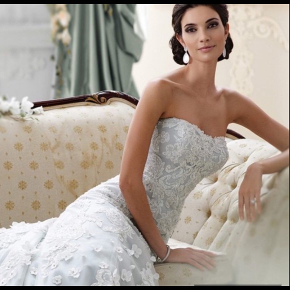 Stunning Wedding Dress - Fits like a true size 4. - Picture 3 of 9